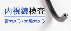 内視鏡検査／胃カメラ・大腸カメラ